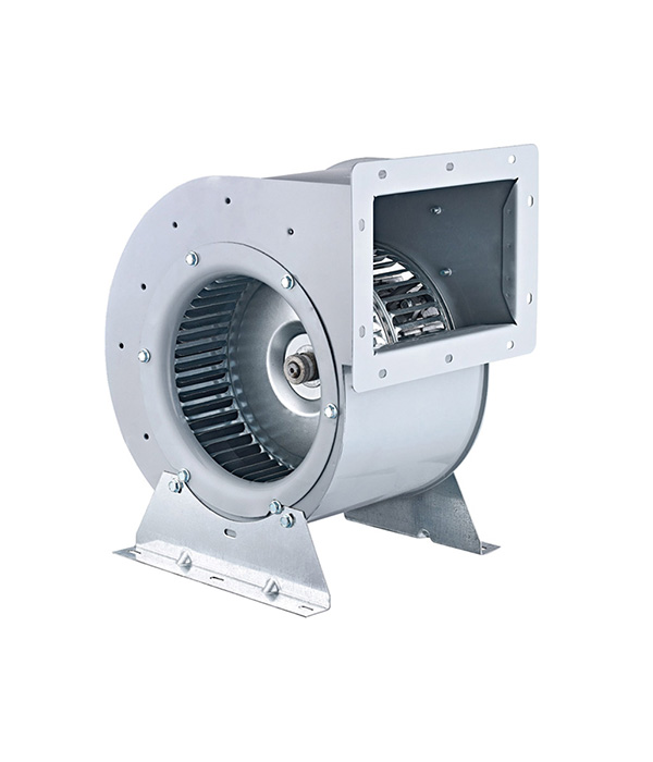Fanlar